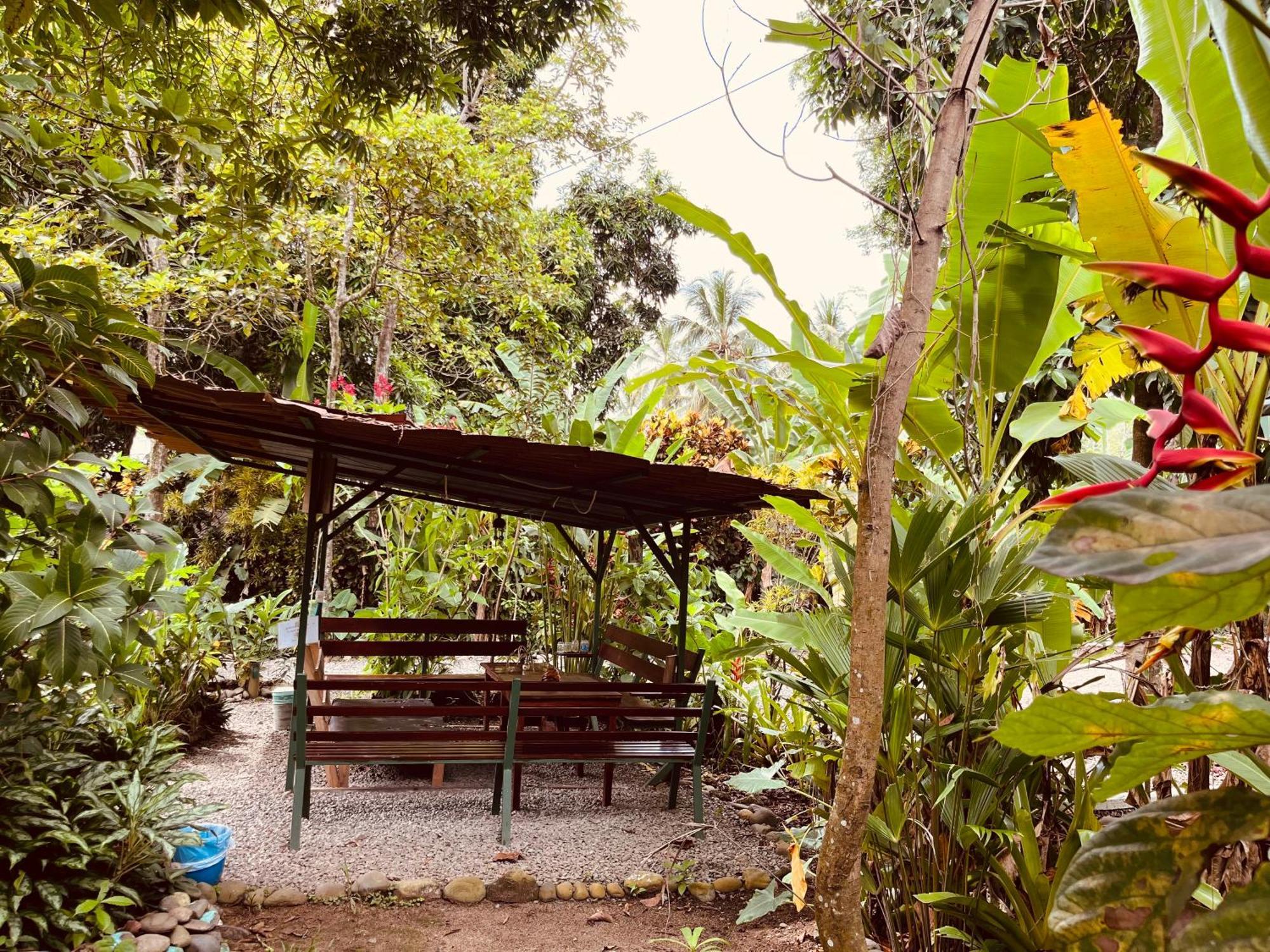 La Ruka Hostel Puerto Viejo de Talamanca Exterior foto